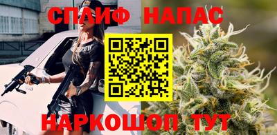 дживик Майкоп