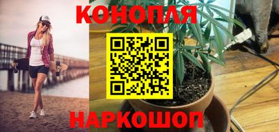 дживик Майкоп