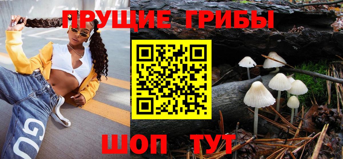Батайск  Галлюциногенные грибы Magic Shrooms  купить наркотик  Галлюциногенные грибы Psilocybine cubensis  Вход с VPN 