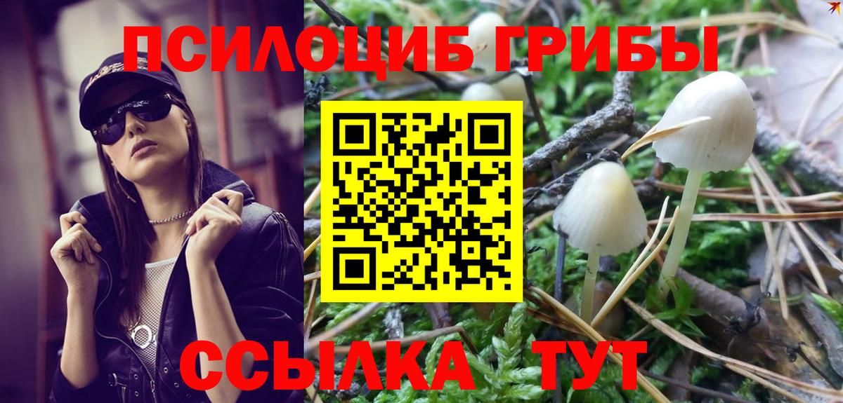 Галлюциногенные грибы MAGIC MUSHROOMS  Батайск 
